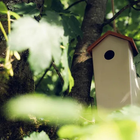 De Botrange Prázdninový dům Sourbrodt