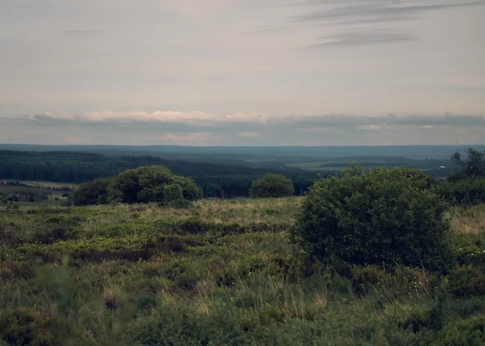 Holiday home De Botrange